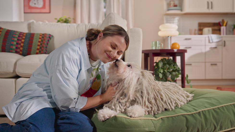 A small white Puli dog sitting on a green ottoman tries to lick his pet parent's face.