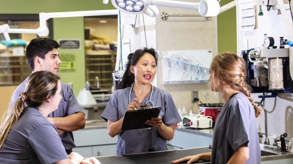 veterinary team meets in animal hospital room to discuss a case.