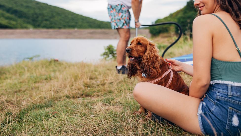woman sitting in front of lake holding dog by harness.
