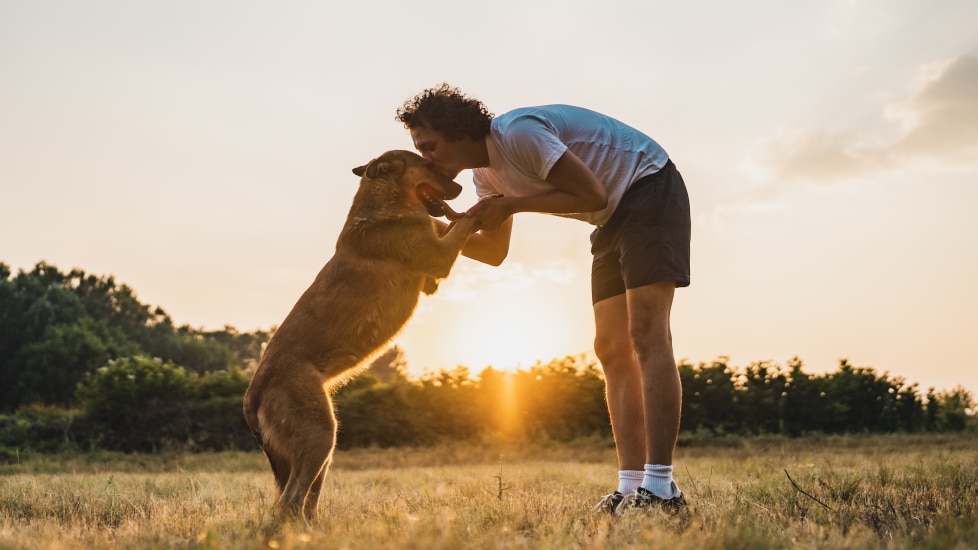 A man holds his dog’s paws during a sunset in an open field.