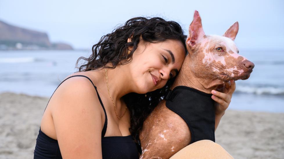 vitiligo in dogs; a woman hugs her dog with vitiligo.