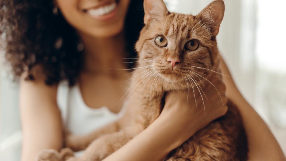 A woman holding an orange tabby cat. Learn why cats slow blink.