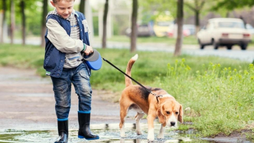 Can Dogs Teach Kids Responsibility?