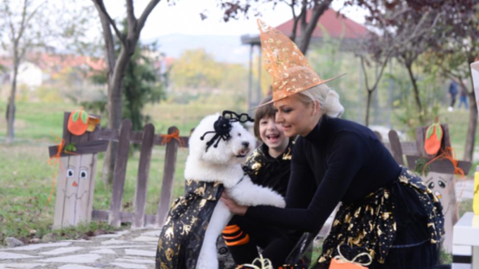 Trick-or-Treating Safety Tips for Kids and Dogs
