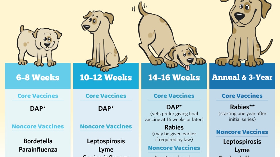 what ages do puppies get shots