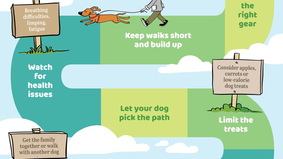 Helpful Tips for Walking Your Dog for Weight Loss