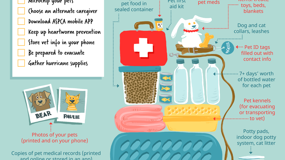 Pet Safety Hurricane Kit Checklist