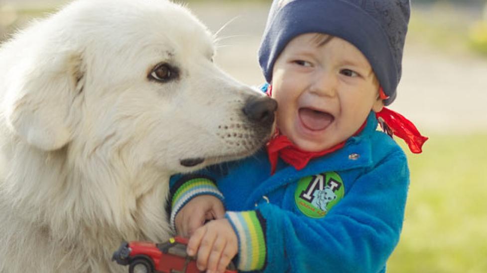 When Your Child is Afraid of Dogs Purely Puppy PetMD