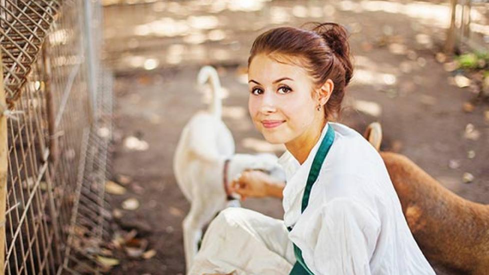 Have You Picked Out Your Veterinarian for When the World Ends? PetMD