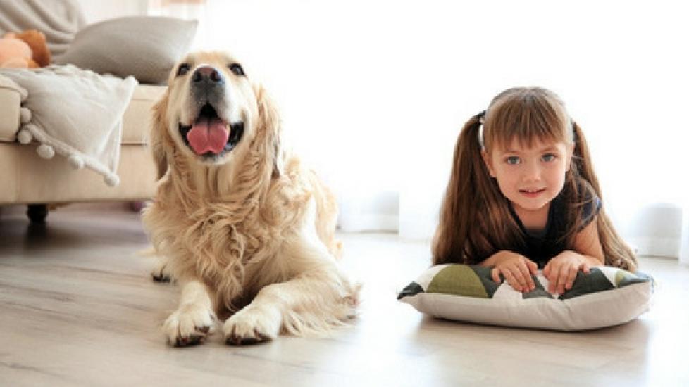 Kids and Dogs: Responsibility by Age