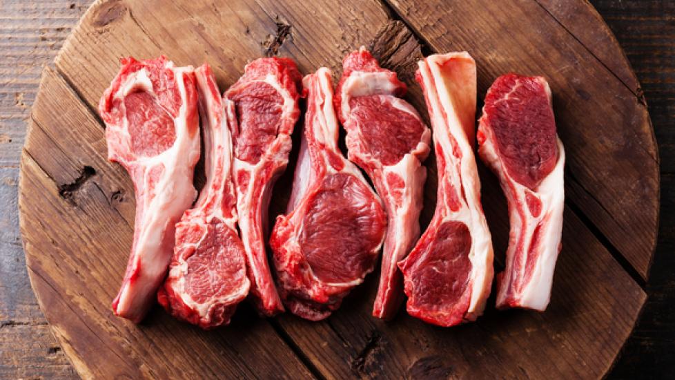 Lamb for Dogs Can Dogs Eat Lamb? PetMD