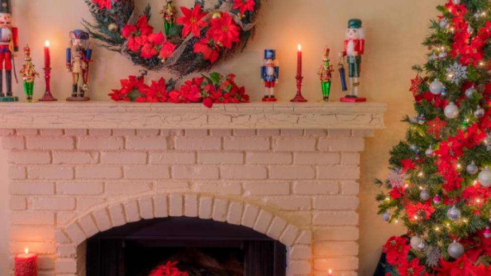 Dangerous Winter Holiday Plants for Pets