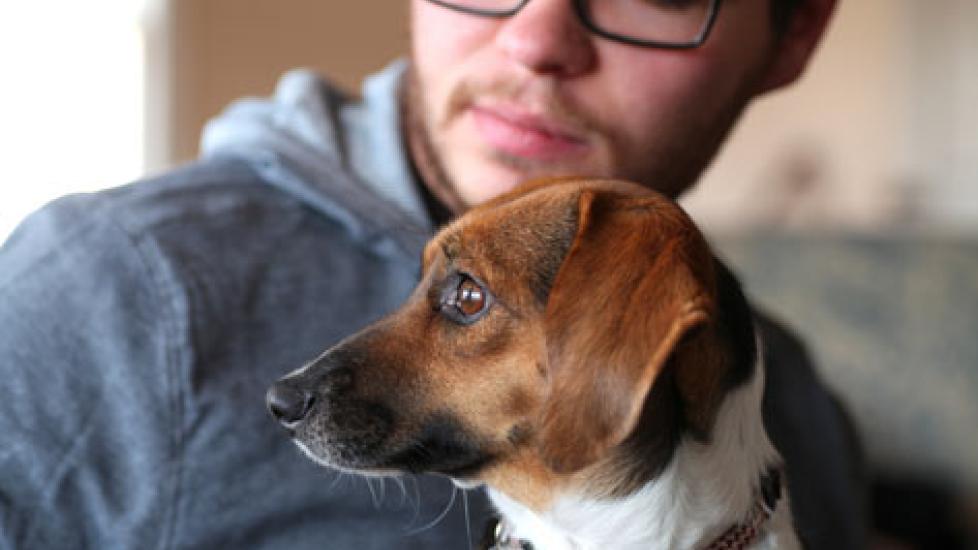 Dog Adoption Fees Dog Adoption Costs How Much is Dog Adoption