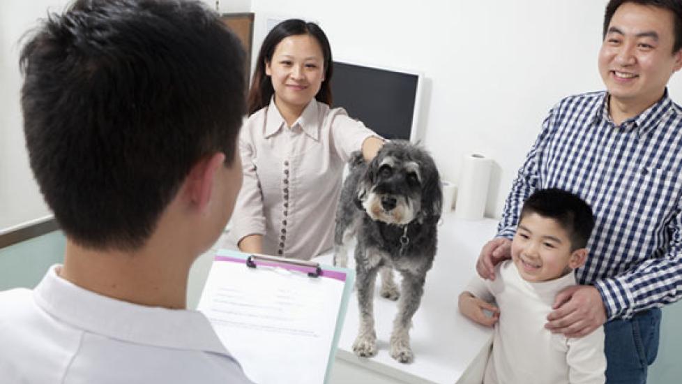 10 Questions Everyone Should Ask Their Veterinarian