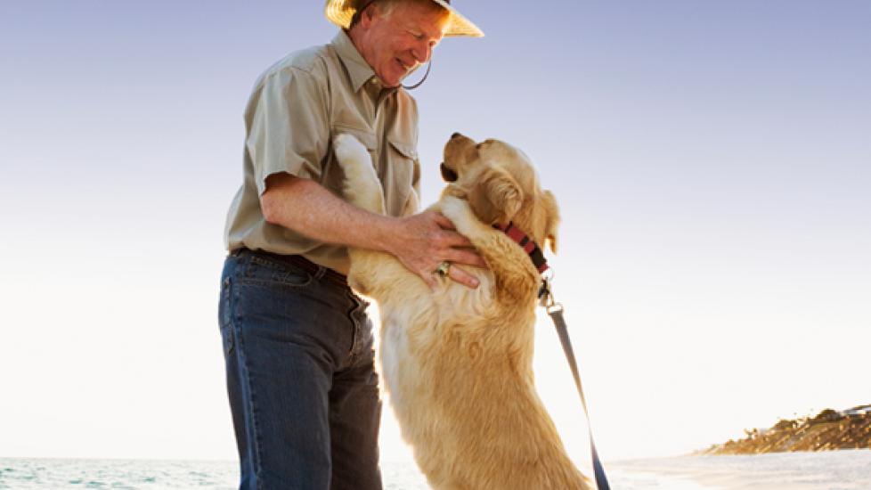 You’re Not a Bad Pet Parent If Your Dog Jumps on People PetMD