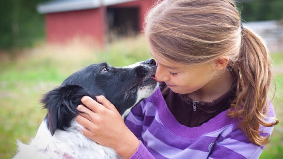 抚养孩子和狗可以帮助保护他们免受哮喘