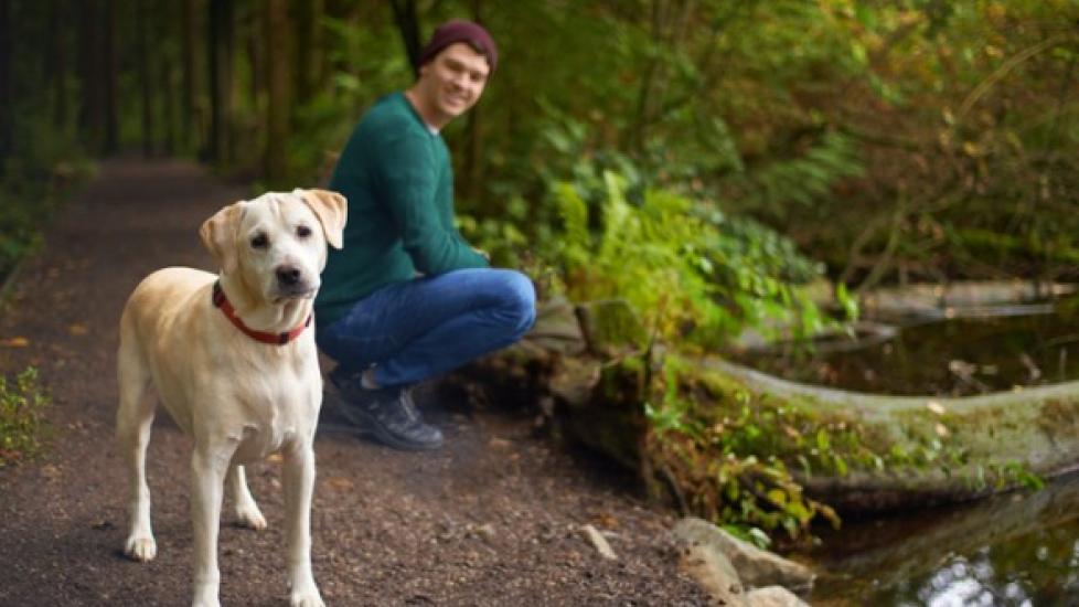 Does Your Dog Need a Lyme Vaccine?