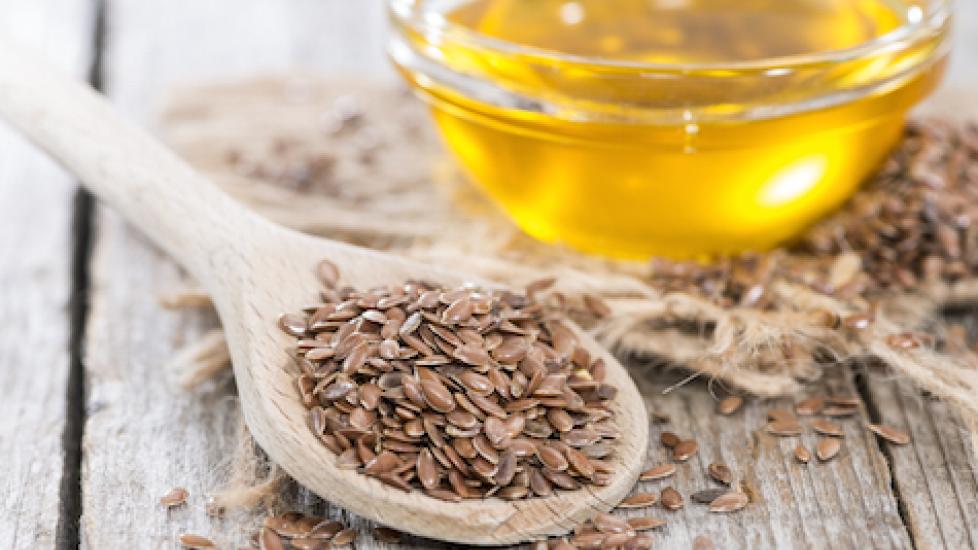 Picture of 4 Healthy Oils To Add To Your Dog's Diet | PetMD