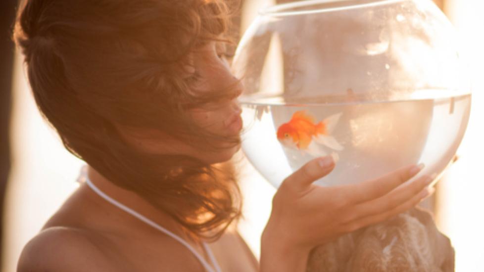Are Fish Losing Popularity as Pets Because Selfies Are Difficult?
