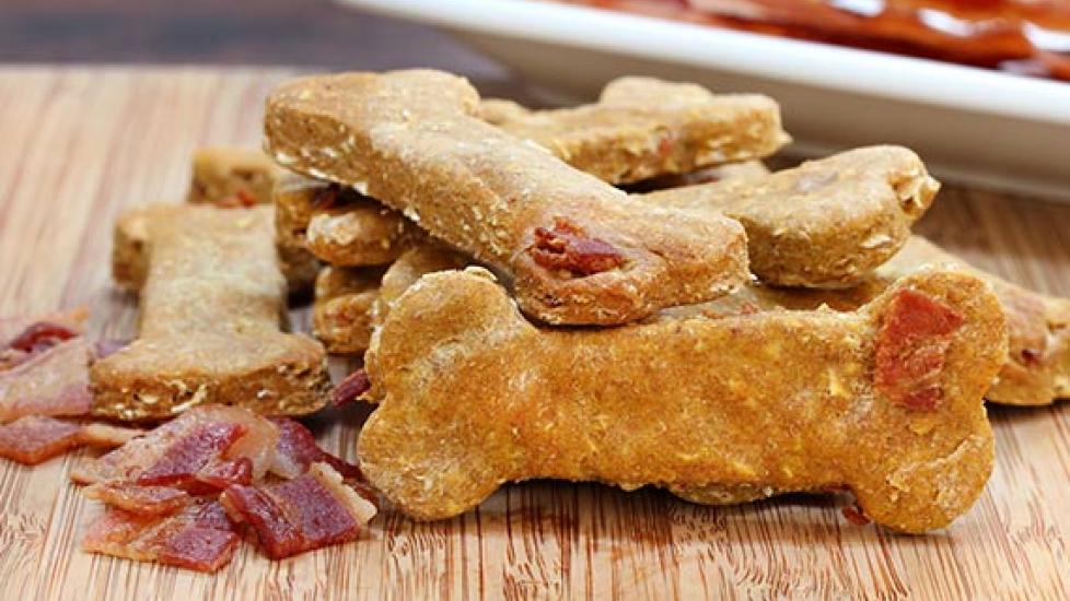 The Best Foods for Pets With Cancer Homemade Dog Food Homemade