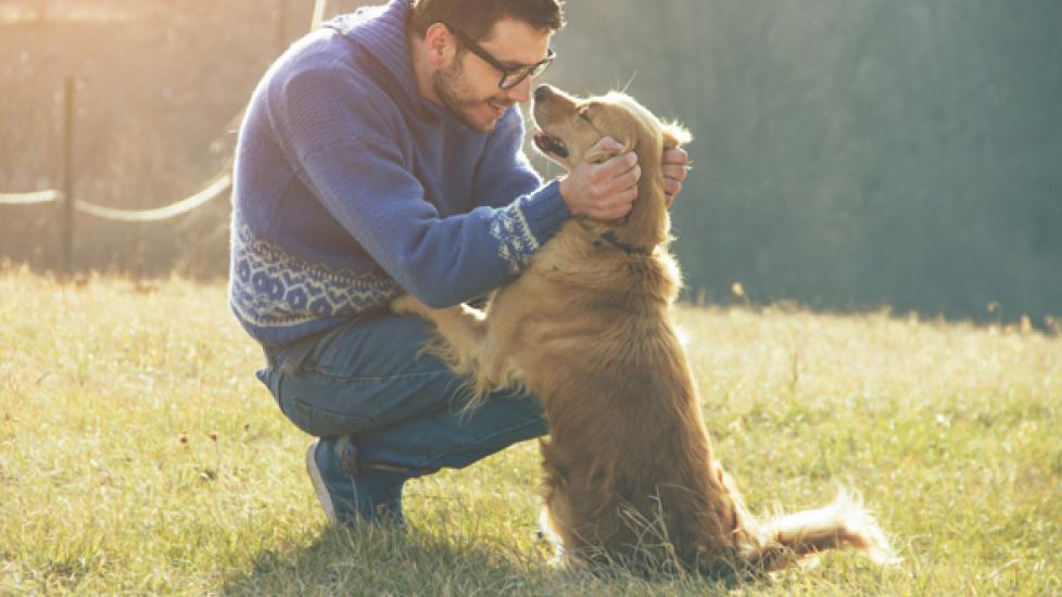 Pet Myths: Are Dogs Really Man's Best Friend?