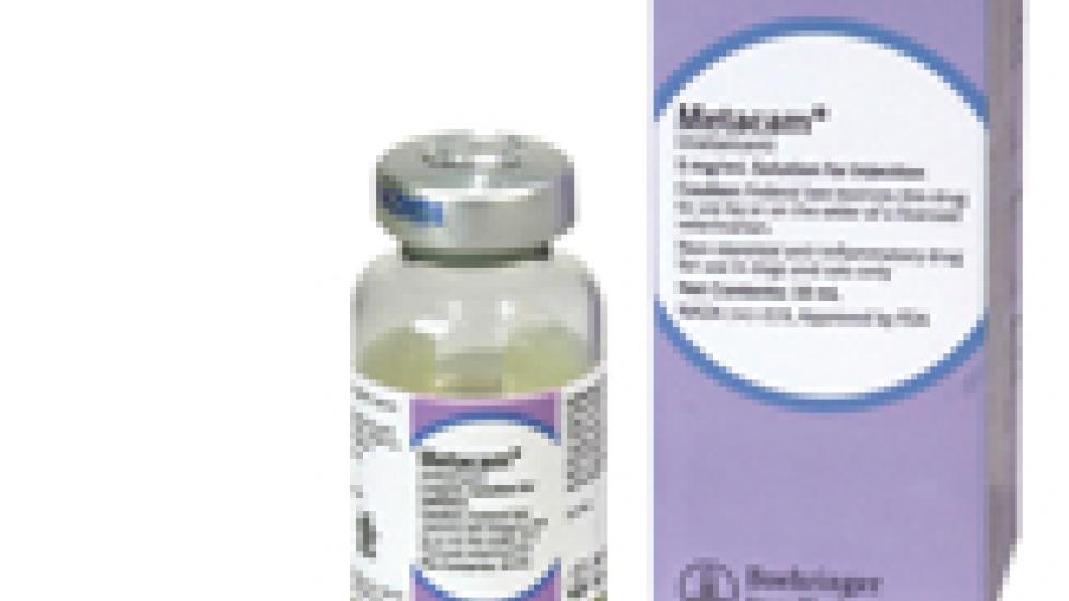 New Warning on Meloxicam Label