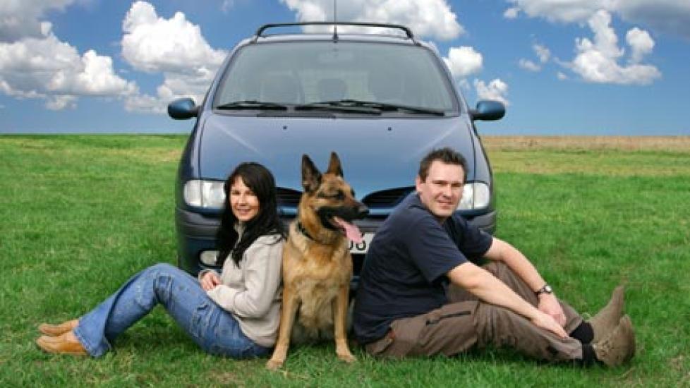 Pet Travel | PetMD