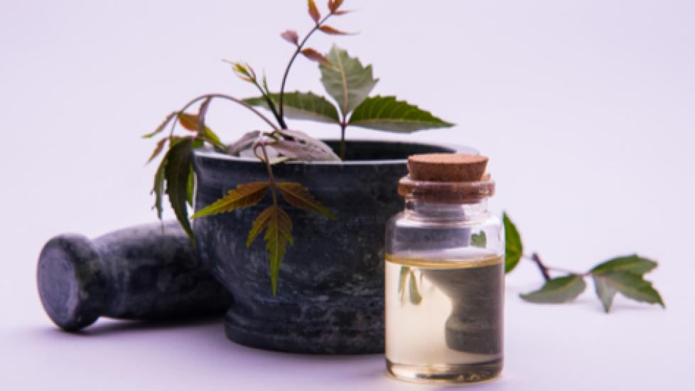 Neem Oil for Pets Is It Safe? PetMD