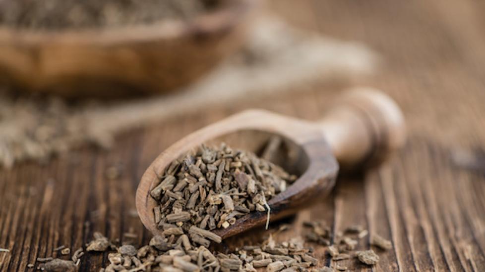 Valerian Root for Dogs: Does It Work?