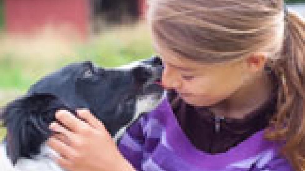 LowCost Veterinary Care for Those in Need PetMD