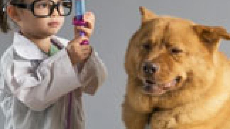 你会相信你的宠物一个兽医的学生吗?