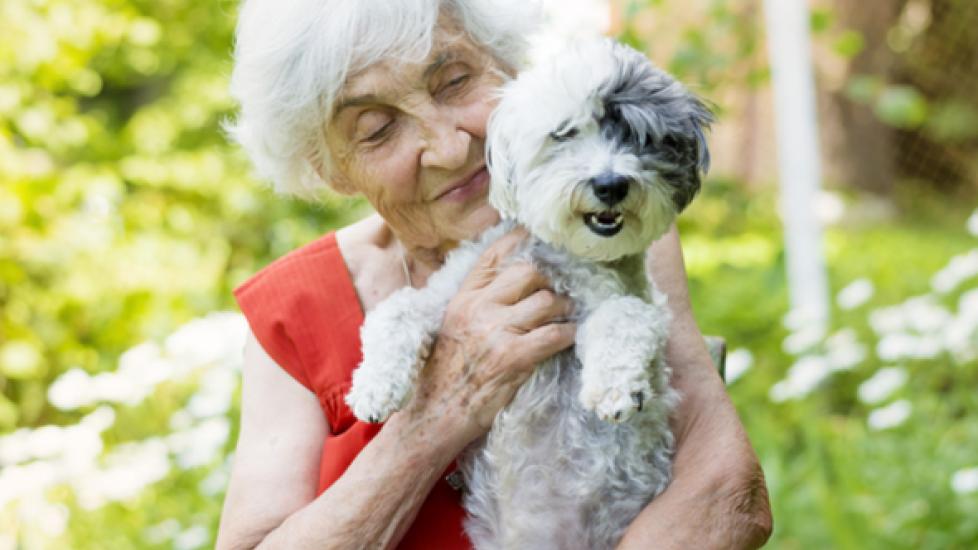 How to Help Older Family Members Keep Their Pets
