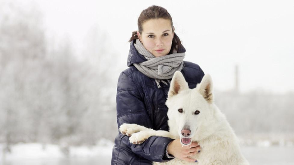 7 Ways Cold Weather Can Affect Your Dog