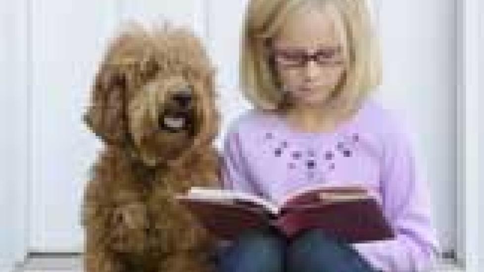 The Role Pets Play in Helping Autistic Children