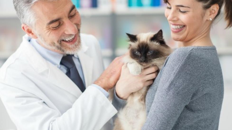 7 Reasons To Thank Your Vet—and How to Do It