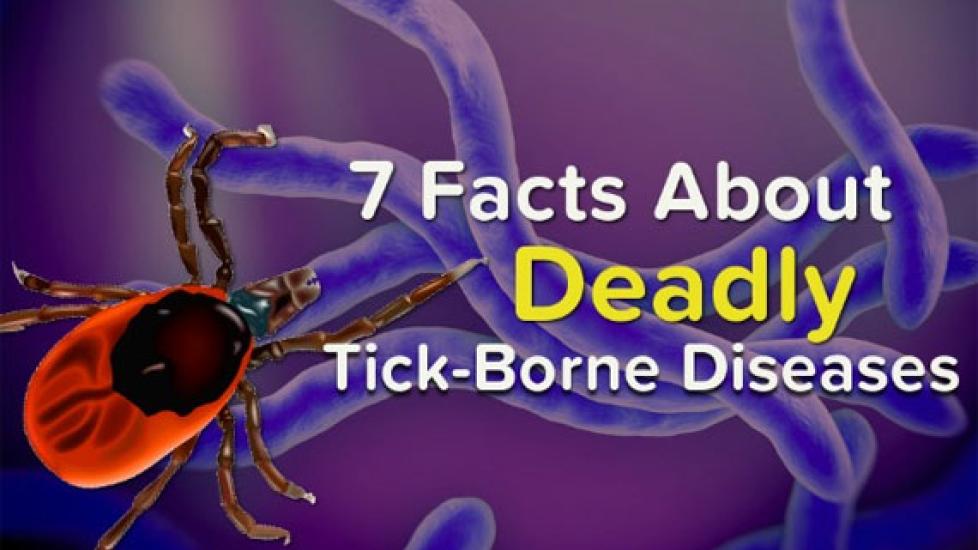 7 Facts About Deadly Tick-Borne Diseases