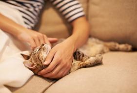 6 Surefire Ways to Bond with Your Cat
