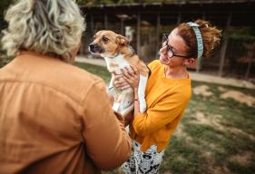 What to Know: Adopting a Diabetic Dog