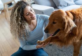 How to Clean and Treat Dog Wounds at Home