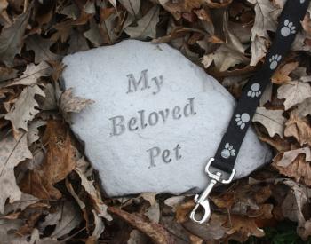 Pet Death: Why Missing Your Dog Is Normal