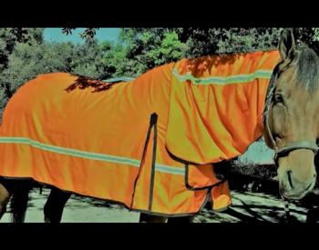 LA-Based Fashion Designer Creates Fire Retardant Horse Blanket With GPS Locator