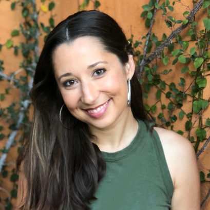 Sussex Spaniel Dog Breed Health and Care | PetMD