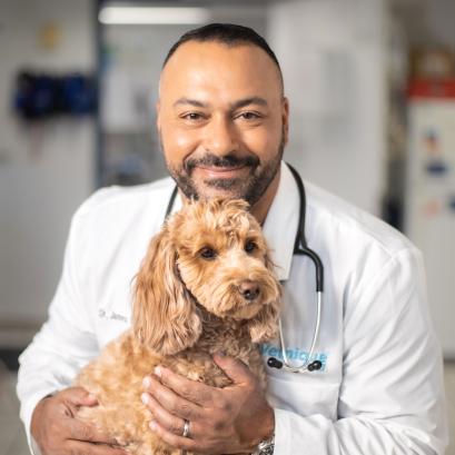 James Bascharon, DVM