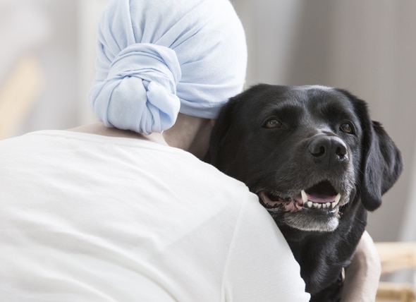 How Therapy Dogs Can Improve the Emotional Health of Hospital Patients |  PetMD