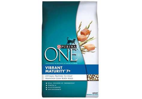 Select Bags of Purina ONE Dry Cat Food Recalled Due to Possible Salmonella Contamination