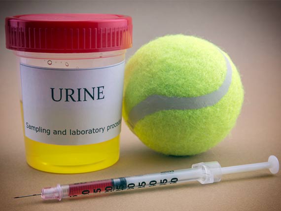 Staging for Canine and Feline Cancer Patients – The Urine and Fecal Testing Stages