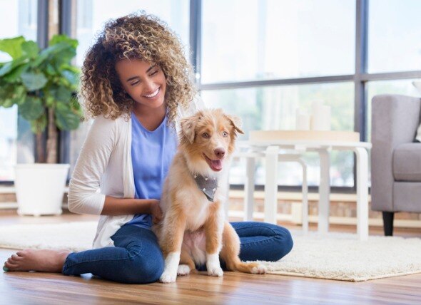 Five Simple Tips for Training a Puppy and Building a Bond