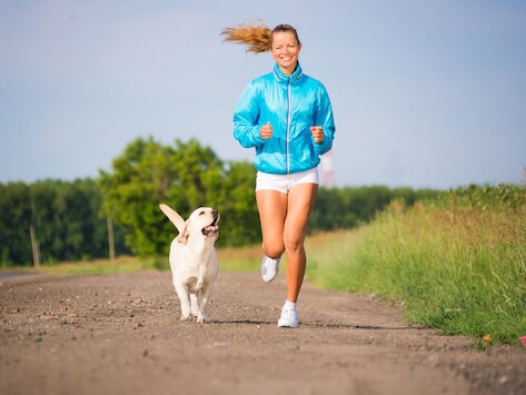 6 Exercises You Can Do With Your Dog