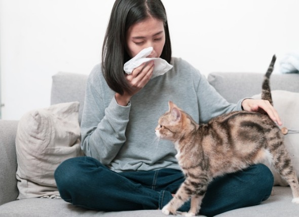 Scientists May Have Found Out How to Get Rid of Cat Allergies